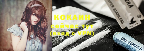 крисы Баксан