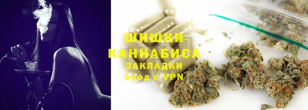 крисы Баксан