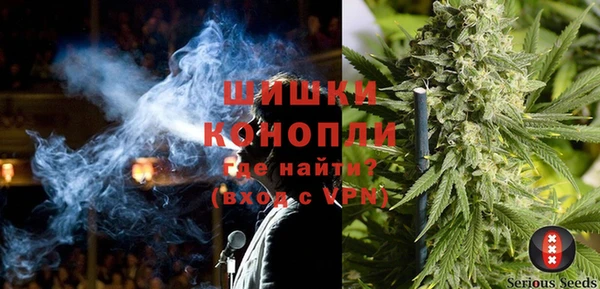 крисы Баксан