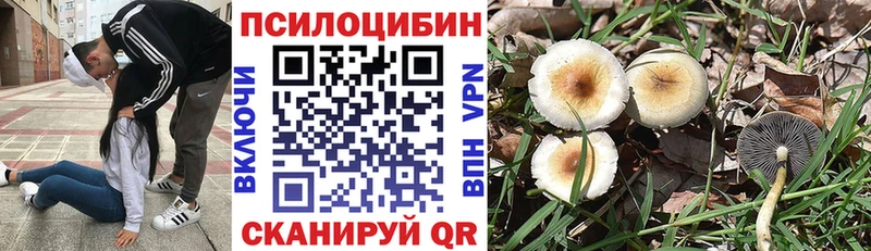 Галлюциногенные грибы прущие грибы  Саяногорск 